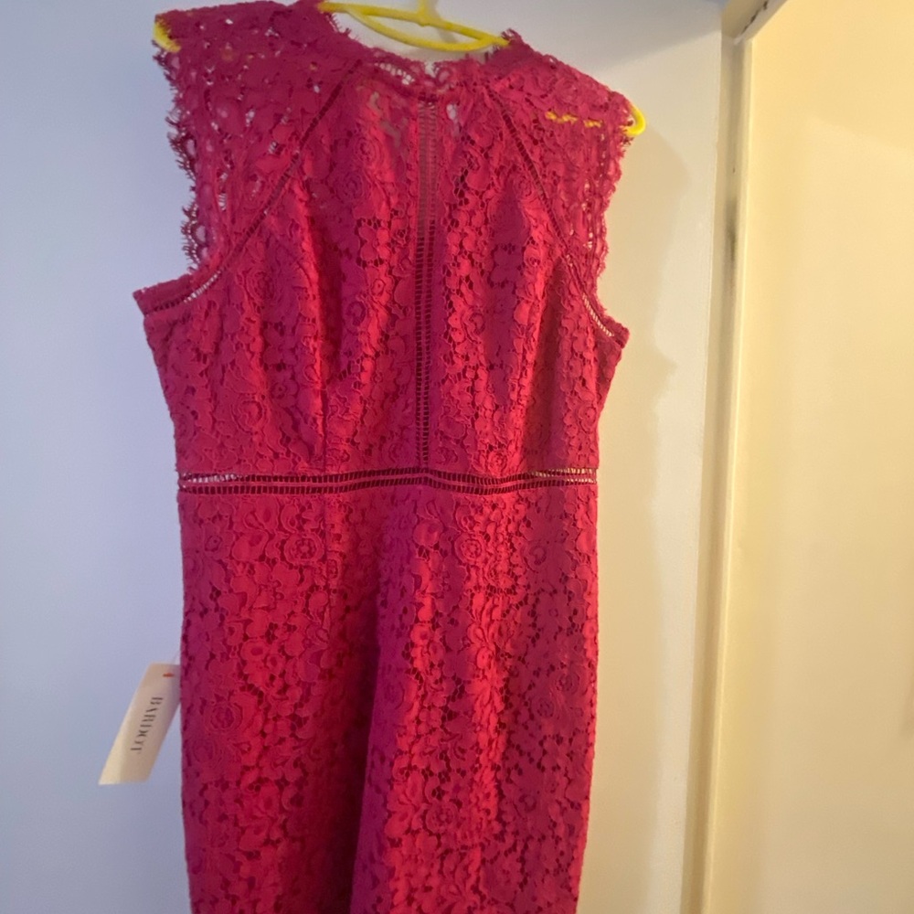 Bardot Lace Panel dark pink size 10.